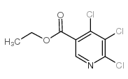 乙基 4,5,6-三氯尼古丁酯结构式