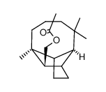 [(1S,3aR,4S,8aS)-4,8,8-trimethyldecahydro-1,4-methanoazulen-9-yl]methyl acetate结构式