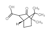 (+)-樟脑羧酸结构式