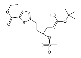 ETHYL 5-[(3R)-4-(TERT-BUTOXYCARBONYLAMINO)-3-(MESYLOXY)BUTYL]THIOPHENE-2-CARBOXYLATE结构式