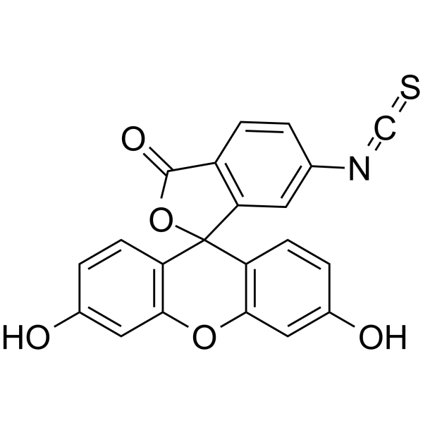 荧光素-6-异硫氰酸酯 (同分异构体II)结构式