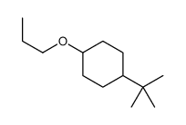 1-tert-butyl-4-propoxycyclohexane结构式