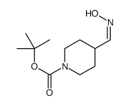 1-PIPERIDINECARBOXYLIC ACID,4-[(HYDROXYIMINO)METHYL]-,1,1-DIMETHYLETHYL ESTER结构式