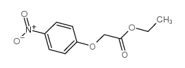 (4-硝基苯氧基)乙酸乙酯结构式