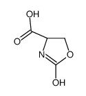 (4S)-2-oxo-1,3-oxazolidine-4-carboxylic acid结构式