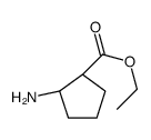 (1R,2s)-2-氨基-环戊烷羧酸乙酯结构式