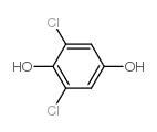 2,6-二氯-1,4-氢化喹啉结构式