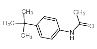 4-叔丁基乙酰苯胺结构式