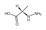 (S)-α-hydrazinopropionic acid结构式