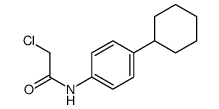 2-chloro-N-(4-cyclohexylphenyl)acetamide结构式