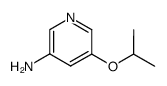 213765-98-1结构式