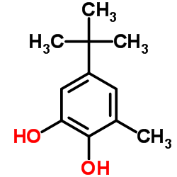 5-叔丁基-3-甲基-1,2-苯二酚结构式