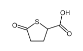 5-氧代硫杂环戊烷-2-羧酸结构式