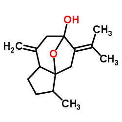 24063-71-6结构式