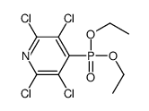 2,3,5,6-tetrachloro-4-diethoxyphosphorylpyridine结构式