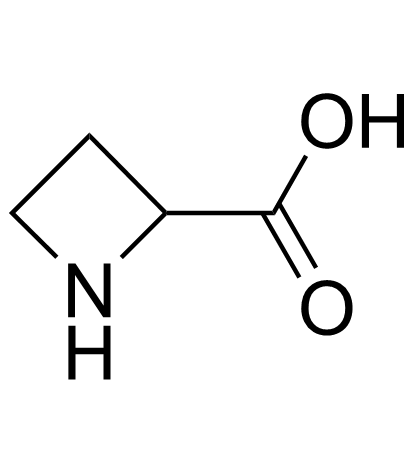 L-铃兰氨酸结构式