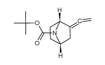 (1R,4S)-tert-butyl 2-vinylidene-7-azabicyclo[2.2.1]heptane-7-carboxylate结构式