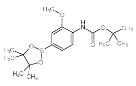262433-02-3结构式