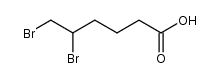 5,6-dibromohexanoic acid结构式