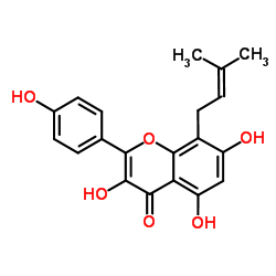 8-异戊烯基山奈酚结构式