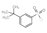 3-叔-丁基苯磺酰氯结构式