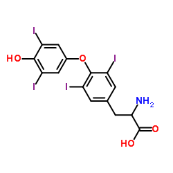 甲状腺素结构式