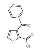 3-苯甲酰噻吩-2-羧酸结构式