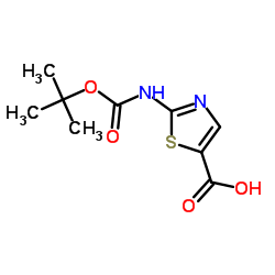 2-N-BOC-氨基噻唑-5-羧酸结构式