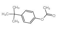 4-(1,1-二甲基乙基)苯酚乙酸盐结构式