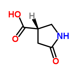 (S)-5-氧代-吡咯烷-3-羧酸结构式