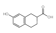 7-羟基-1,2,3,4-四氢-萘-2-羧酸结构式