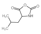 (S)-(-)-4-异丁基氧氮杂环戊烷-2,5-二酮结构式