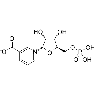 β-NicotinicAcidMononucleotide结构式