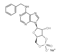 6-bn-camp sodium salt结构式
