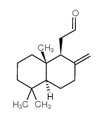 龙涎酮结构式