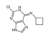 2-chloro-N-cyclobutyl-7H-purin-6-amine结构式