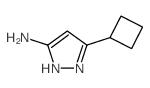 3-氨基-5-环丁基-1H-吡唑结构式