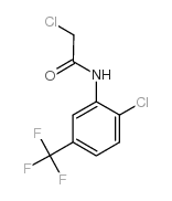 2-氯-N-(2-氯-5-三氟甲基苯基)-乙酰胺结构式
