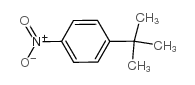 1-特-丁基-4-硝基苯结构式