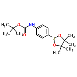 N-Boc-4-氨基苯硼酸频哪醇酯结构式