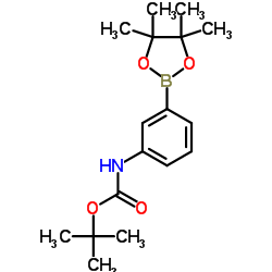 3-(BOC-氨基)苯硼酸频哪酯结构式