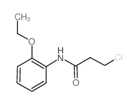 3-Chloro-N-(2-ethoxyphenyl)propanamide结构式