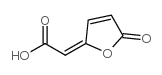 2-(5-oxo-2-furylidene)acetic acid结构式
