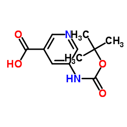 5-叔丁氧羰基氨基吡啶-3-羧酸结构式