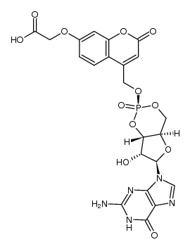 339291-45-1结构式