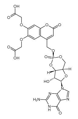 339291-46-2结构式