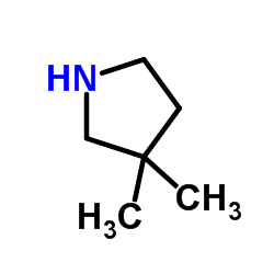 3,3-二甲基吡咯烷结构式