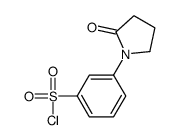 3-(2-氧代吡咯烷-1-基)苯-1-磺酰氯结构式