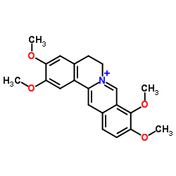 黄藤素； 巴马汀结构式