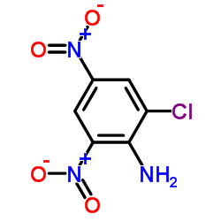 2-氯-4,6-二硝基苯胺结构式
